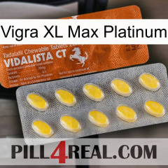 Vigra Xl Max Platinum 42